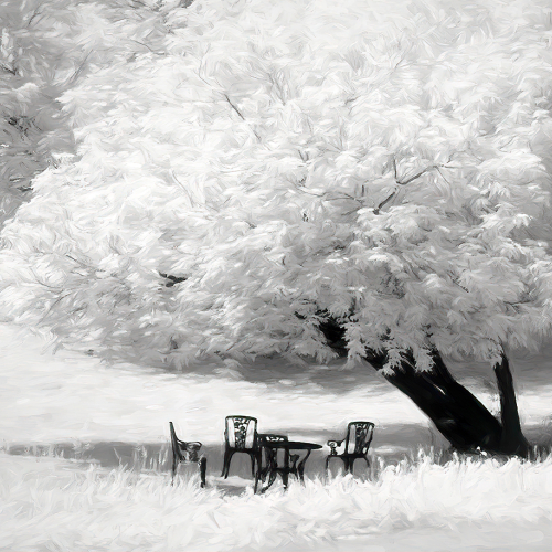 1st Merit Mono - Montreal Camera Club Rachel Bilodeau Once Upon A Dream