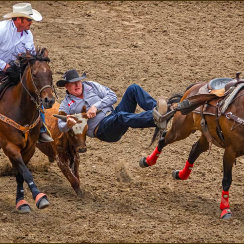 1st Merit Award AB Langley Camera Club Carolyn Angus Critical Timing And Teamwork