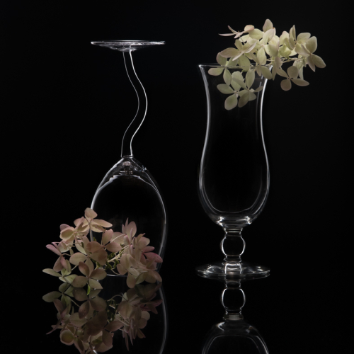 1st Merit Award CCU Richmond Hill Camera Club Qing Li Hydrangea