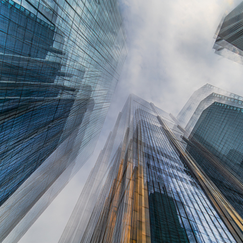 1st Merit Award CLI Toronto Camera Club Pat Zuest Unsustainable