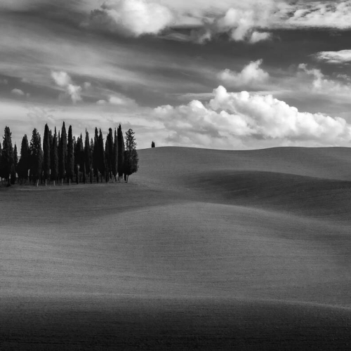 1st Merit Award LA Club Photo Dimension Michel Pezolet Ondulation