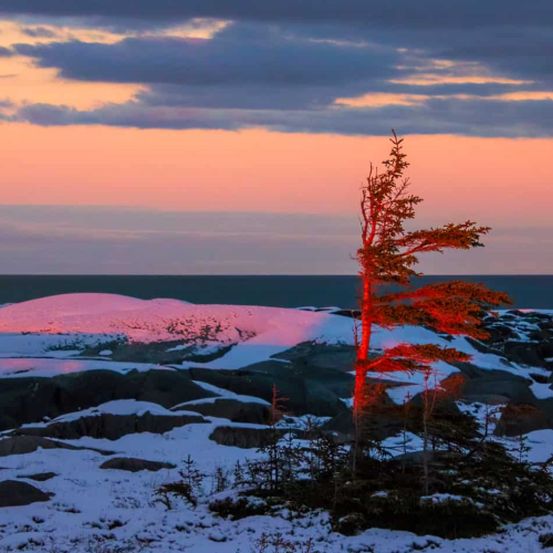 1st Merit Award MB Langley Camera Club Kayla Stevenson Last Light On Windswept Barrens