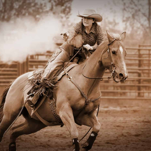 1st Merit Award SK Saskatoon Camera Club Rob Arthur Annie Oakley Rides Again