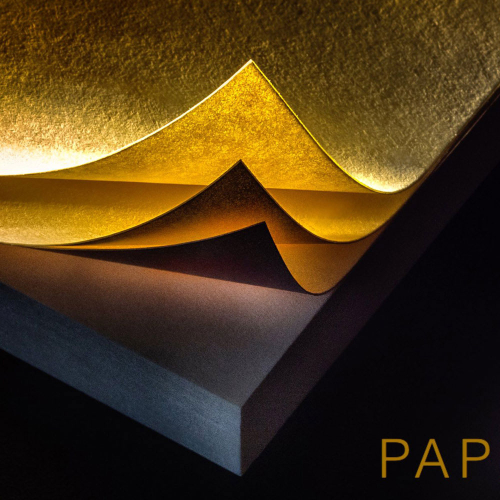 Gold Medal - Mariana Armata & Ron Harper (Lakeshore Camera Club_ - Title: Paper - Audio Visual Competition