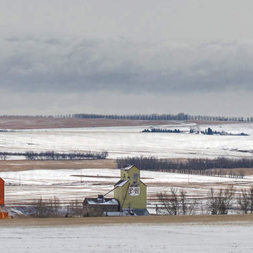 2nd Merit Award Barb Larson Prairie Elevators