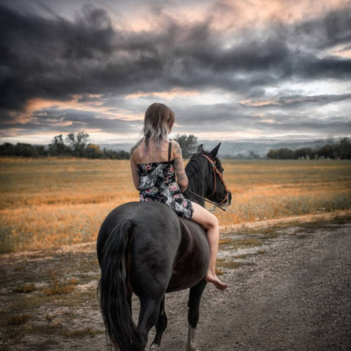 2nd Merit Award Saskatoon Camera Club Ken Greenhorn Evening Ride