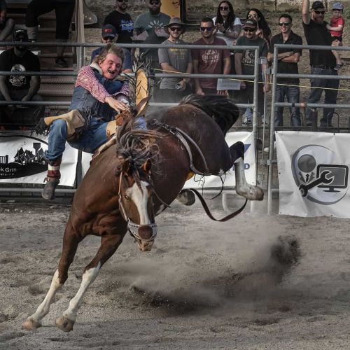 2nd Merit Award St Catharines Photographic Club Heather Halfyard SPO Just Holding On