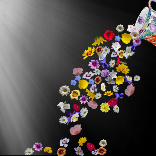 2nd Merit Award - Creative - Theres Frenette - Flower Spill