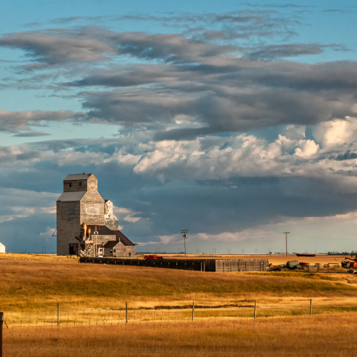 2nd Merit Award - Sask - Paule Hjertaas - The Elevator