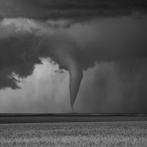 2nd Merit Award LA Lesleyanne Ryan Twister