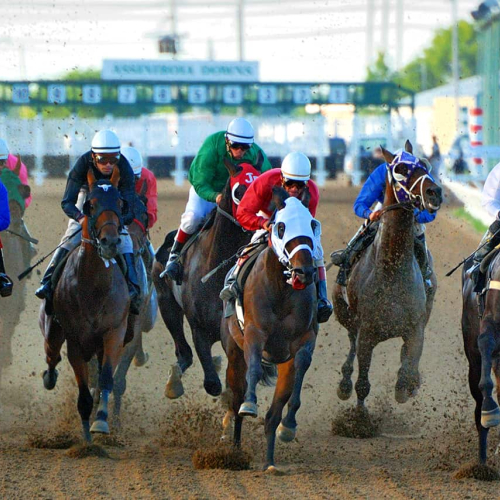 2nd Merit Award MB Manitoba Camera Club Oliver Dolinsky Assiniboa Downs