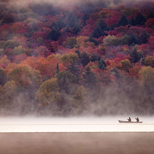 2nd Merit Award NAT Ying Jiang Deep Fall Season