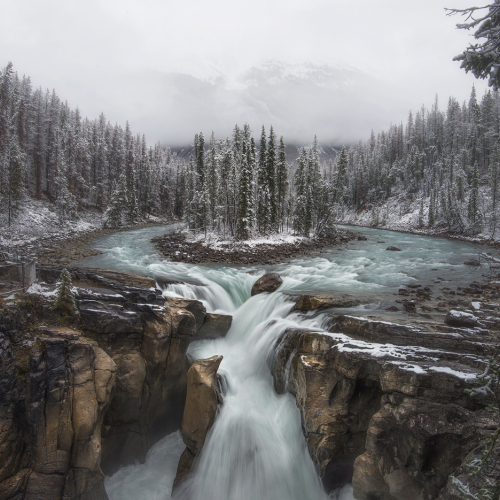 3rd Merit Alta James Xiang Frozen Throne
