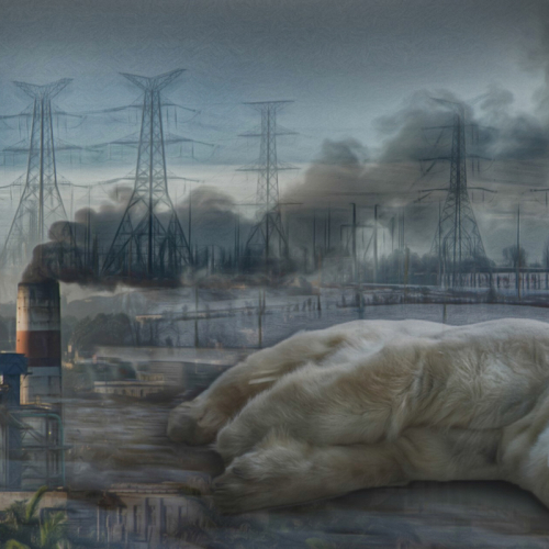 3rd Merit Altered Reality Maryann Griffin Climate Matters
