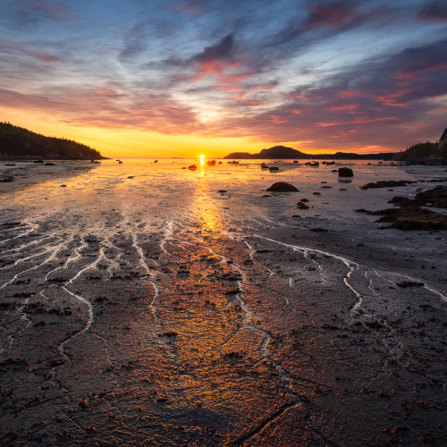 3rd Merit Award Landscape Club Photo Impression David Rouchet Anses Spider