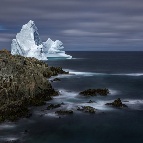 3rd Merit NFLD Michael Winsor Iceberg Coastjpg
