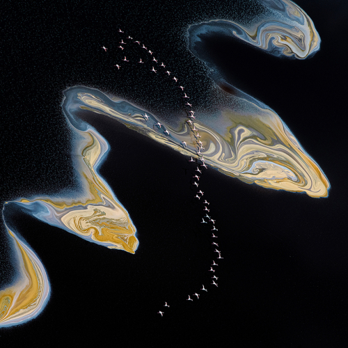 3rd Merit Award CCU Jiahua Elite Photography Association Jie Fischer Yellow Lake