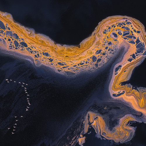 3rd Merit Award CCU Jiahua Elite Photography Association Yun Wang Flying Over Little Magadi