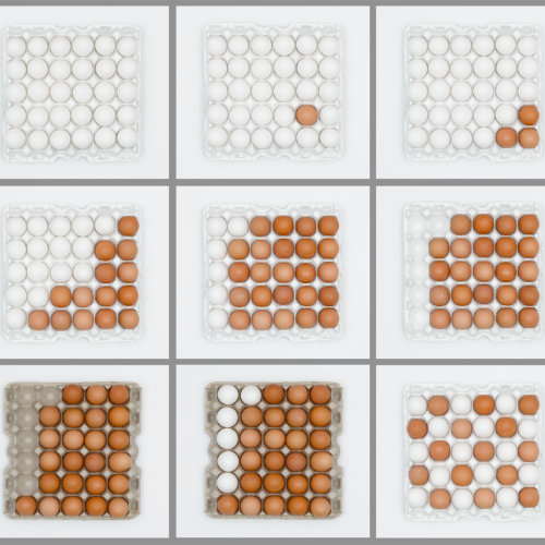3rd Merit Award CLI RA Photo Club Manfred Mueller Typology   Lines Of Eggs