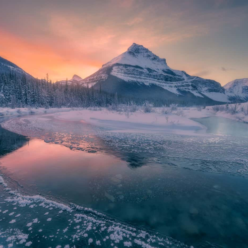 3rd Merit Award - LA - Jiahua Elite Photography Association - Jasmine Suo - Tangle Peak