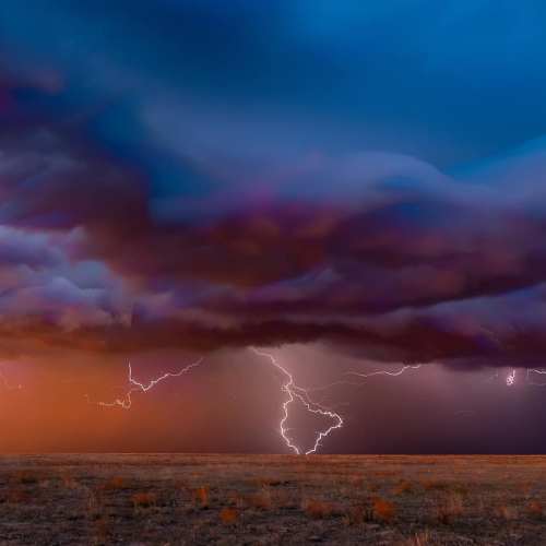 BRONZE_MEDAL-Lesleyanne Ryan-Desert Sunset