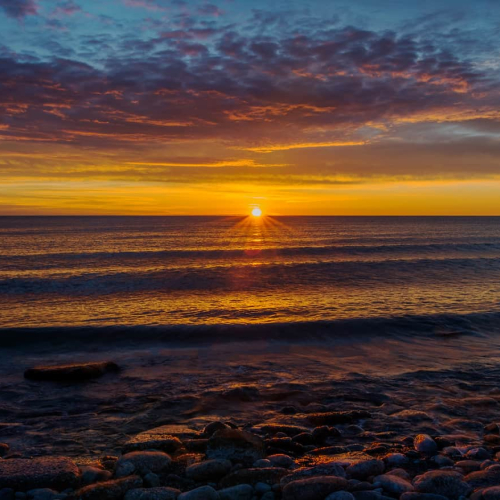 BRONZE MEDAL Pat Zuest A New Start At Lake Ontario Shoreline