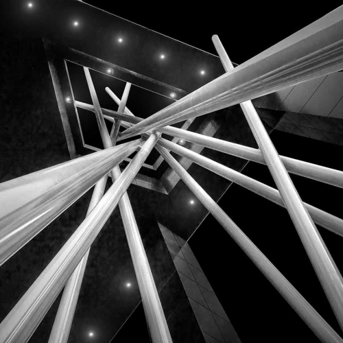 BRONZE MEDAL Toronto Camera Club Lily Markovic Arranged Chaos