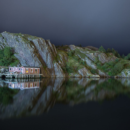 Bronze Medal Cindy Marshall Quidi Vidi Reflections