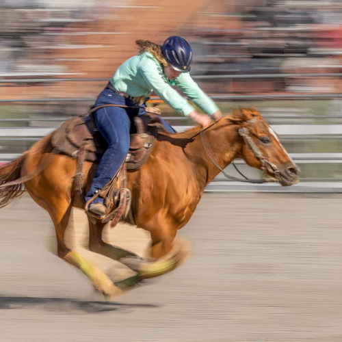Bronze Medal Jiahua Elite Photography Association Jasmine Suo SPO Racing Hard