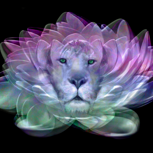 Bronze Medal - Laura Ranallo - Lion In The Lotus