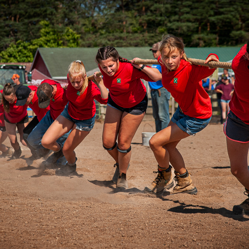 Bronze Medal Photographic Guild Nova Scotia VikiGaul 4H Tug Of War Competition