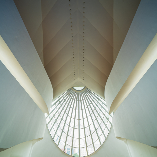 Bronze Medal  The Chinese Canadian Photographic Society Of Toronto Katherine Wong Pure Symmetry