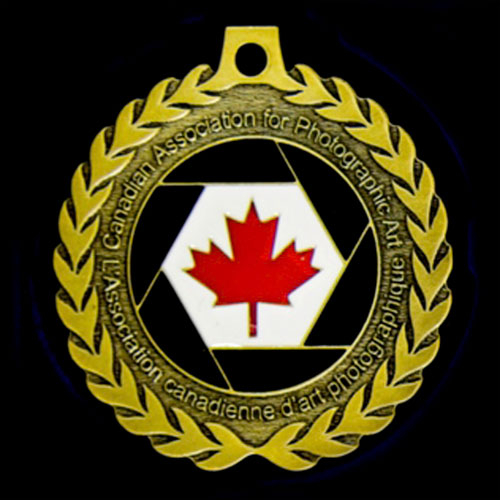 CAPA Gold Medal