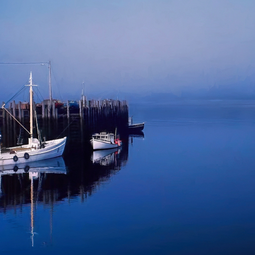 Carol Randall Peaceful Mooring At Grand Manan