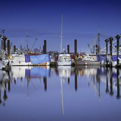 GOLD MEDAL Langley Camera Club Colleen Walden Steveston Waterfront