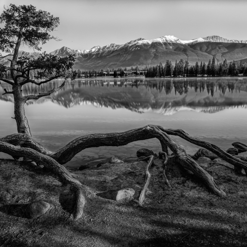 GOLD MEDAL London Camera Club Phillip Duby Holding The Shore To Catch A Reflection