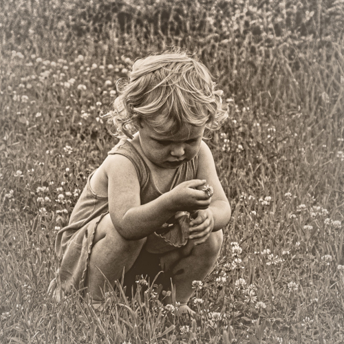 Gary Meek A Childs Curiousity