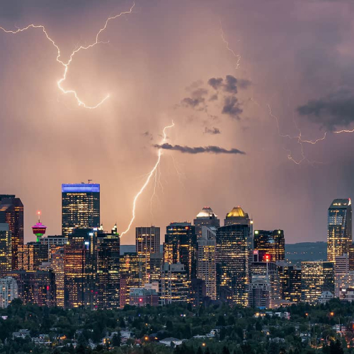 Gold Medal Dan Sigouin Summer Storm