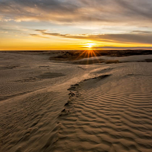 Gold Medal Dan Sigouin Sunset At The Dunes