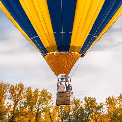 Gold Medal Foothills Camera Club Traci Beattie Flying High In High River