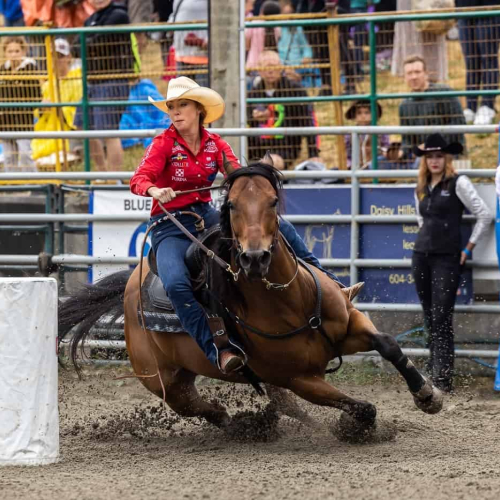 Gold Medal Langley Camera Club Colleen Walden SPO Barrel Racing Dangerous Yes But What A Rush