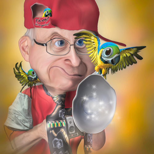 Gold Medal - Rick McKenzie - Watch the Birdie