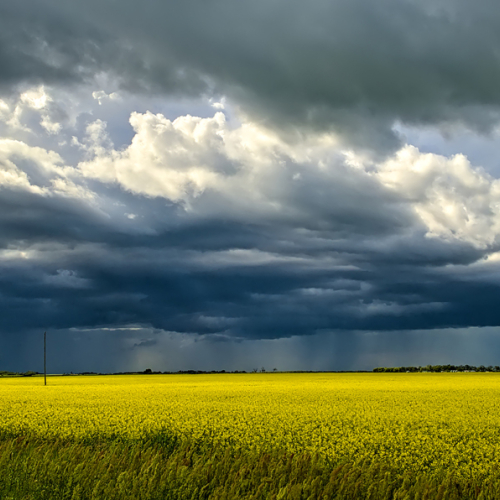 Gold Medal Saskatoon Camera Club Bruce Guenter Prairie Summer Classic