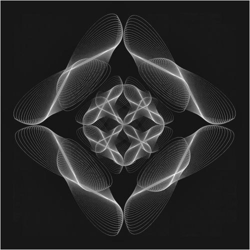 Gold Medal Trillium Photographic Club Ed Espin Symmetrical Fireflies