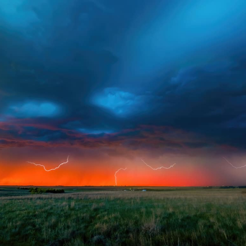 HONOUR Lesleyanne Ryan Fire Storm