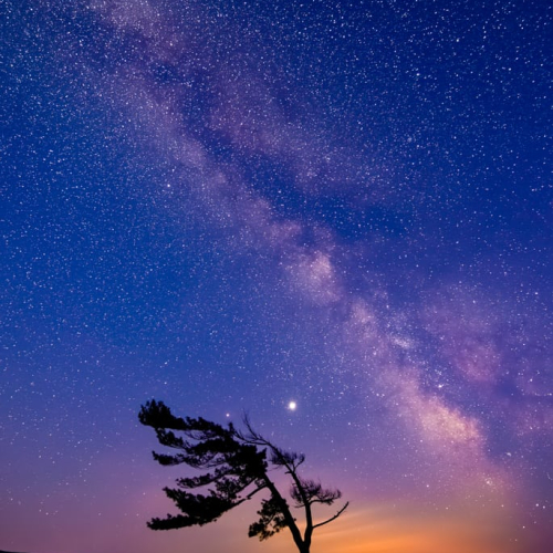 HONOUR AWARD Adrienne Zone Blue Hour