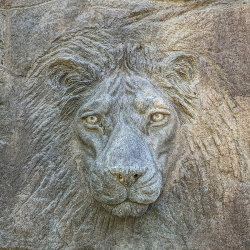 HONOUR AWARD Cathleen Mewis Stone Faced Stare