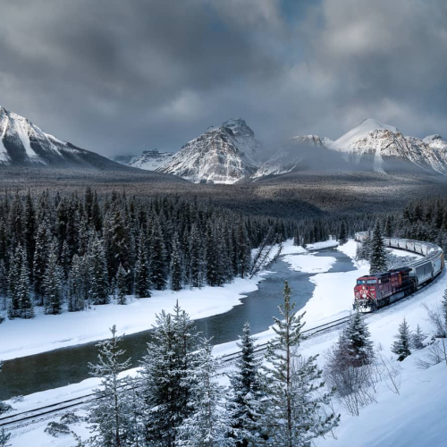 HONOUR AWARD Cheryl Lalonde Meandering Through The Land That Time Forgot