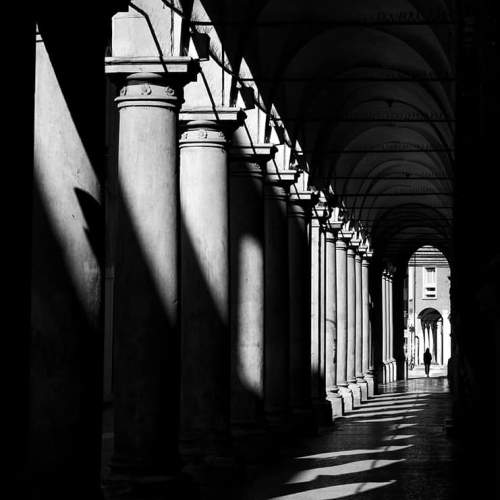 HONOUR AWARD Daniel Rondeau Portico Shade