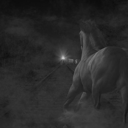 HONOUR AWARD - Images Alberta Camera Club - Colin Vince - Horse And Train Under Full Moon